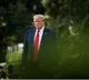 US Senate report slams 'stunning failures' by Secret Service in Trump assassination attempt