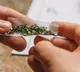Hyderabad Old City Man Murdered Over Ganja Sales Dispute