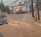 Torrential rain triggers flash flooding in New York, New Jersey