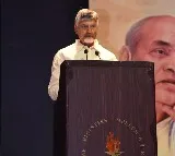 Chandrababu Naidu Why learn Hindi PV became great learning 17 languages