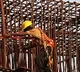 Russia to Hire 1 Million Indian Skilled Workers by 2025