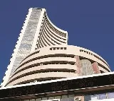 Sensex Gains 317 Points Nifty Up 113 Points