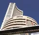 Sensex Gains 317 Points Nifty Up 113 Points