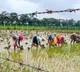 Cabinet approves PM Dhan-Dhaanya Krishi Yojana in big push to agriculture sector