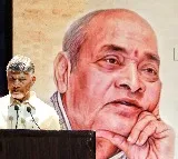 Chandrababu Naidu defends learning Hindi, pays tributes to polyglot ex-PM Narasimha Rao