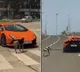 Lamborghini Versus Dog Mumbai Street Video Goes Viral