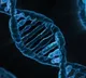Gene essential for vitamin D absorption may boost cancer treatment