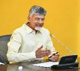 Chandrababu Naidu Announces Rs 260 Crore for Mango Farmers