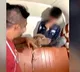Pitbull Attack in Mumbai Owner Filmed as Dog Bites Crying Boy