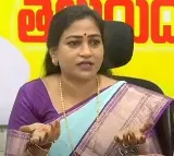 AP Home Minister Anitha Comments on Mithun Reddy Arrest