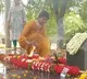 Manchu Lakshmi pays tribute to her late mother in Naidupet