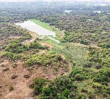 Supreme Court on Kanchagachibowli Tree Felling Makes Sensational Comments Again