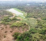 Supreme Court on Kanchagachibowli Tree Felling Makes Sensational Comments Again