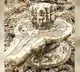 Panchmukhi Shivalinga Found While Digging Pond in UP
