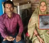 Daily Wage Worker Finds 8 Diamonds in Madhya Pradesh