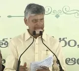 Chandrababu Naidu Announces Adoption of Bangaru Kutumbalu