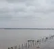 Dhavaleswaram Godavari River Flood Fury Video