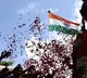 President, Defence Minister pay tribute to fallen heroes on Kargil Vijay Diwas
