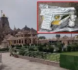 Devotee Offers Silver Pistol Bullet And Garlic At Mewars Sanwaliya Seth Temple