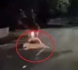 Leopard attacks biker near Alipiri Tirupati TTD increases security