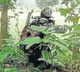 Chhattisgarh: 4 Maoists killed in Bijapur encounter; security forces recover arms and ammunition