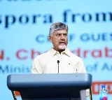 Chandrababu Naidu urges Telugu diaspora to develop their homeland