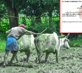 Clerical Error Turns Farmer Into Poorest In India With Rs 3 Annual Income