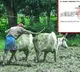 Clerical Error Turns Farmer Into Poorest In India With Rs 3 Annual Income