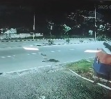 Hyderabad Leopard Spotted in Golconda Ibrahim Bagh