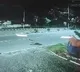 Hyderabad Leopard Spotted in Golconda Ibrahim Bagh