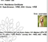 Bihar Dog Babu residence certificate creates political uproar