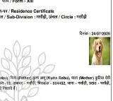 Bihar Dog Babu residence certificate creates political uproar