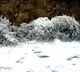 Tsunami warnings issued across Pacific after massive 8.7 earthquake hits Russia