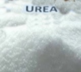 YSRCP MP urges Centre to resolve urea 'crisis' in Andhra Pradesh