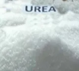 YSRCP MP urges Centre to resolve urea 'crisis' in Andhra Pradesh