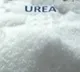 YSRCP MP urges Centre to resolve urea 'crisis' in Andhra Pradesh