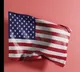 Naman Preet Kaur Asks US Immigration to Deport Husband