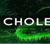 Some 80,000 children at risk of cholera across West, Central Africa: UN