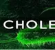 Some 80,000 children at risk of cholera across West, Central Africa: UN