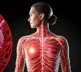 Covid and flu viruses can wake up breast cancer cells spread in lungs: Study