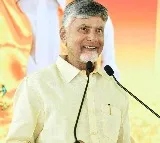 Chandrababu Naidu Arrives in Vijayawada After Singapore Trip