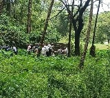 Karnataka mass burial case: SIT continues digging work at suspected sites for 4th day