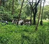Karnataka mass burial case: SIT continues digging work at suspected sites for 4th day