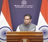 India extending all possible assistance, in touch with friendly govts: MEA on Nimisha Priya case