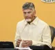 Chandrababu Naidu urges TDP to promote government schemes