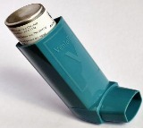 Study finds inflammatory pathways behind asthma attacks in children