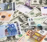Reserve Bank of India reports increase in India forex reserves