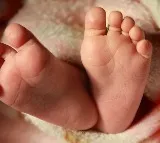 Pushkar Singh Dhami Orders Probe into Infant Death Case in Uttarakhand