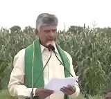Chandrababu Naidu Launches Annadata Sukhibhava Scheme for Farmers