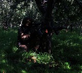 Terrorist Killed In Encounter In JK Army Says Operation Akhal Underway